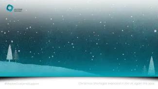 Festive Teal Scene